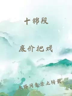 十錦段