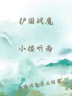 護(hù)國戰(zhàn)魔