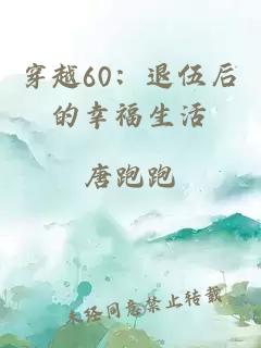 穿越60：退伍后的幸福生活