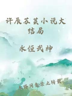 許辰蘇蕓小說大結(jié)局