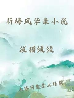折梅風(fēng)華錄小說