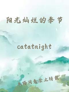 陽光燦爛的季節(jié)