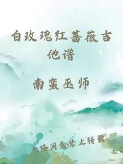 白玫瑰紅薔薇吉他譜