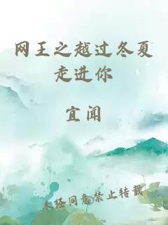網(wǎng)王之越過冬夏走進(jìn)你