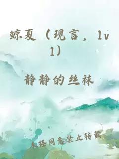 鯨夏（現(xiàn)言，1v1）