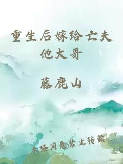 重生后嫁給亡夫他大哥