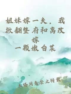 姐妹嫁一夫，我掀翻整府和離改嫁