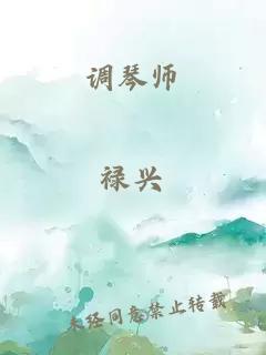 調(diào)琴師