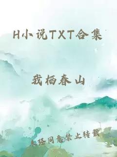H小說(shuō)TXT合集